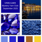 Unik Garn - Mystery Yarn Club september 2025